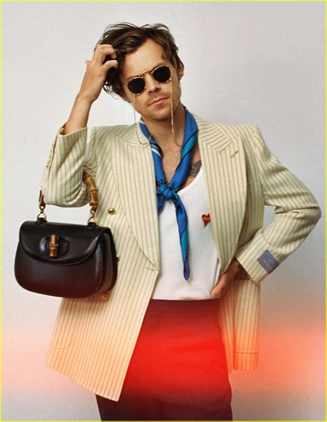 harry styles gucci bag price|harry styles gucci campaign.